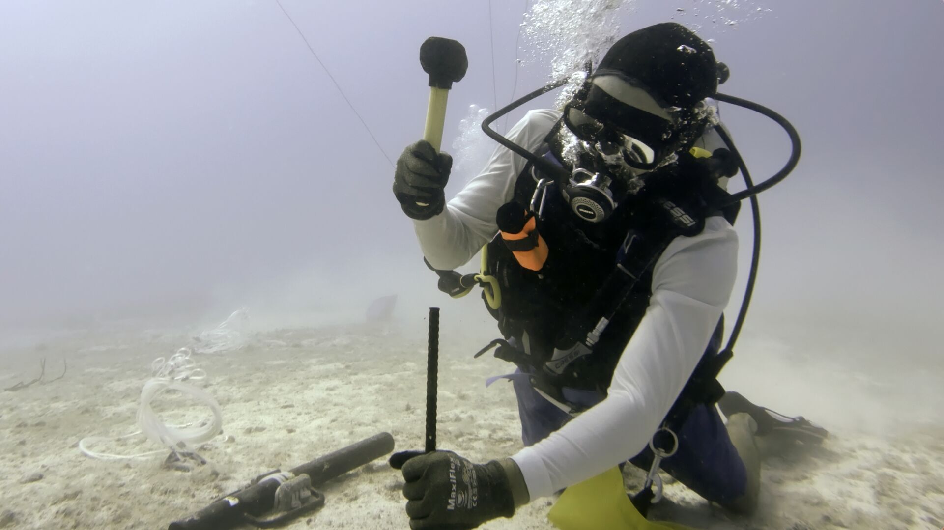 Coral Rescue